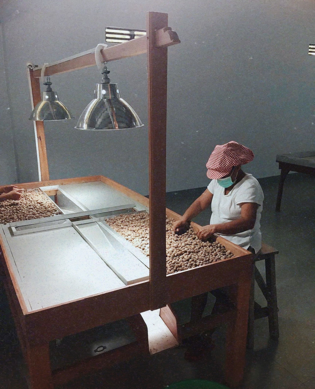 Werknemer sorteert eerlijke specerijen bij Good Jamu en Pacific SpiZes