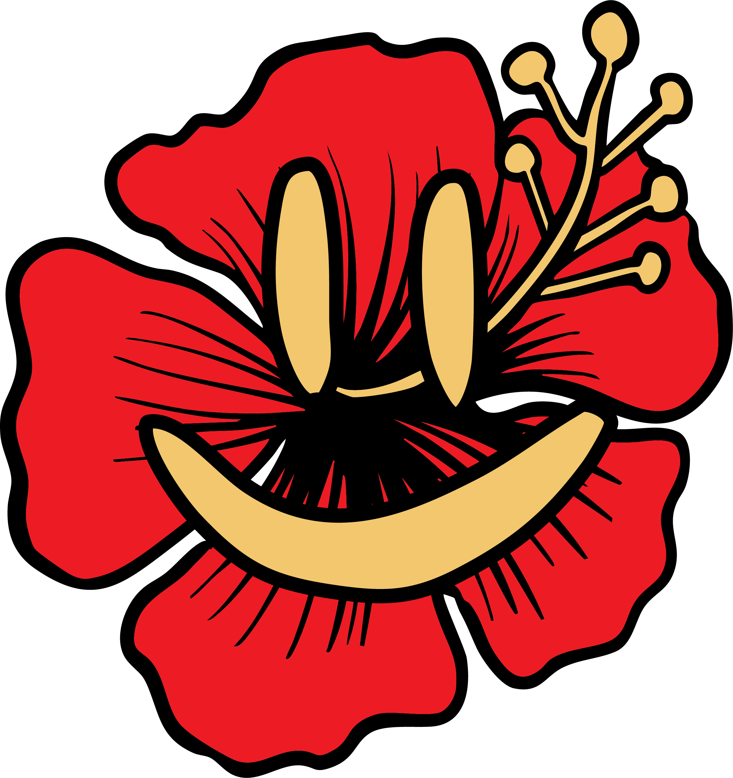 Good Jamu-_drawing_hibiscus