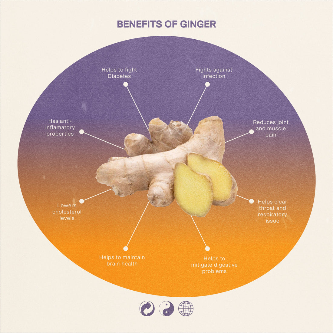 Island ginger good jamu gember